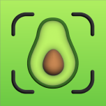 AICalo AI Calorie Tracker